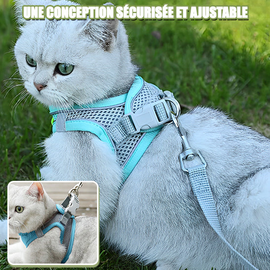 Harnais-pour-chat-durable