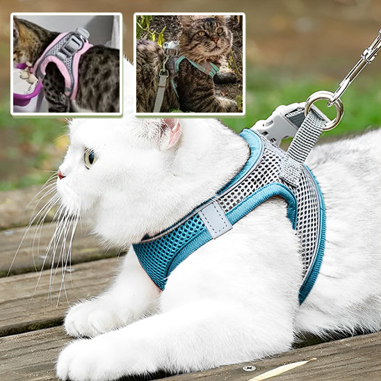 Harnais-pour-chat-securite-renforcee