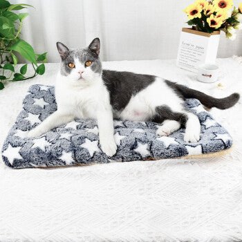coussin-à-chat-bleu | SoftRelax™ - Royaume Des Chats