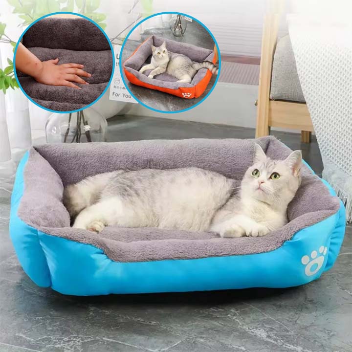 Coussin Chat | KingSoftâą - Royaume Des Chats
