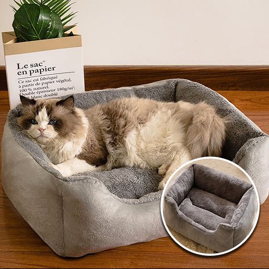Coussin Chat | KingSoftâą - Royaume Des Chats