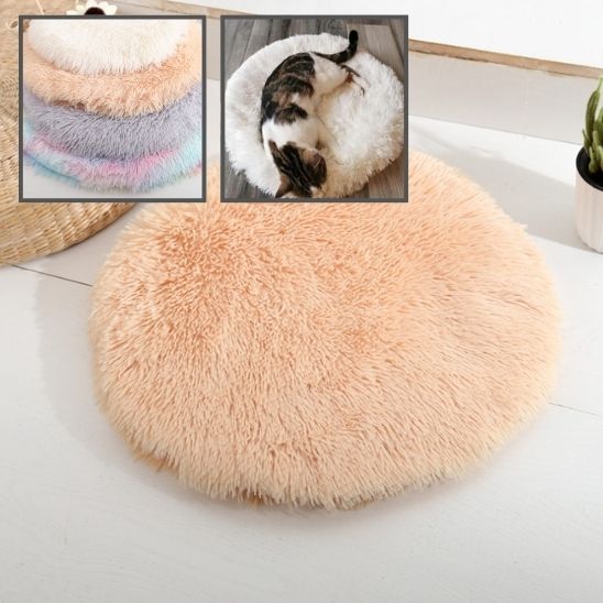 coussin-chat-abricot
