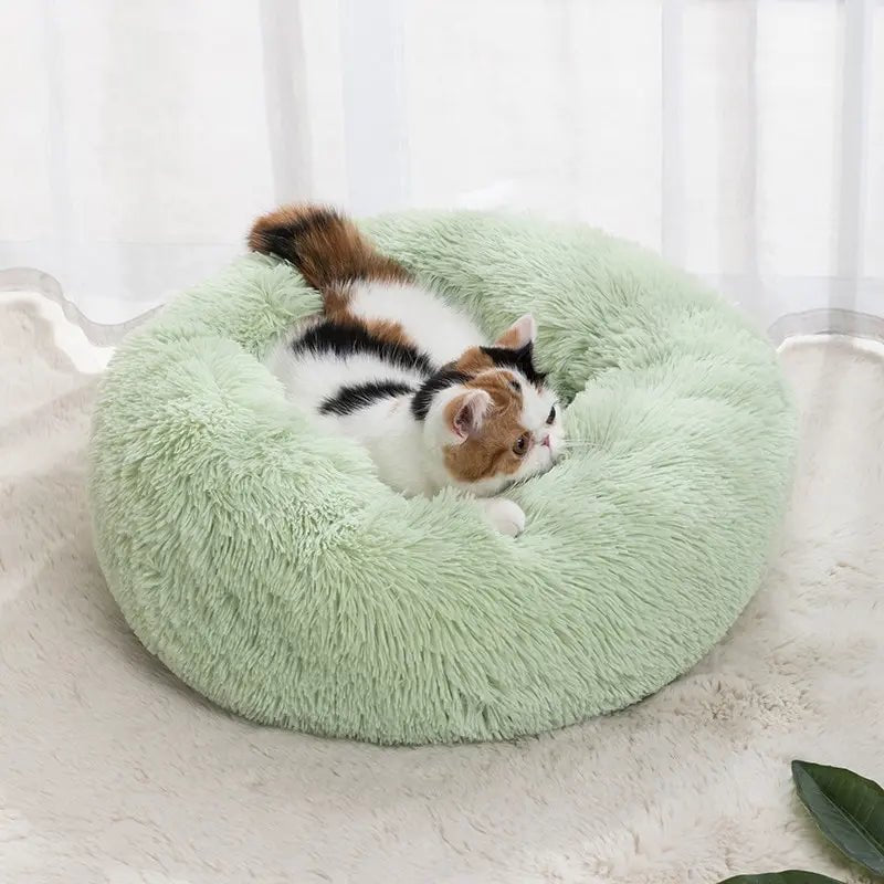 Coussin-pour-chat-vert | SoftRelaxâą - Royaume Des Chats