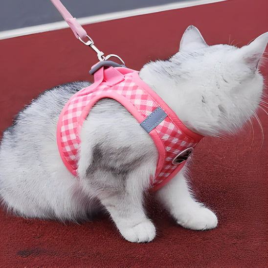 harnais-chat-rose