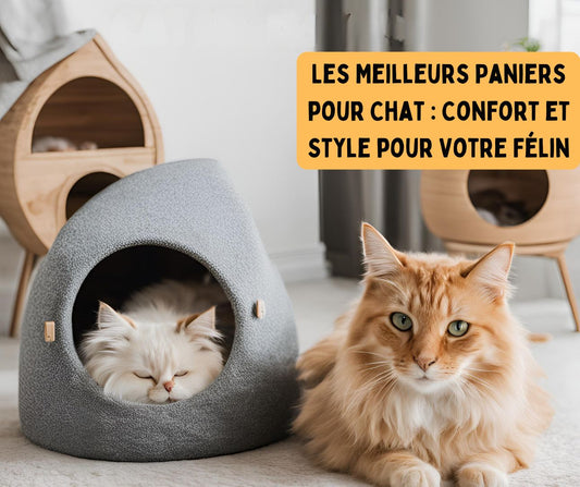 Les Meilleurs Paniers pour Chat : Confort et Style pour Votre Félin - Royaume Des Chats