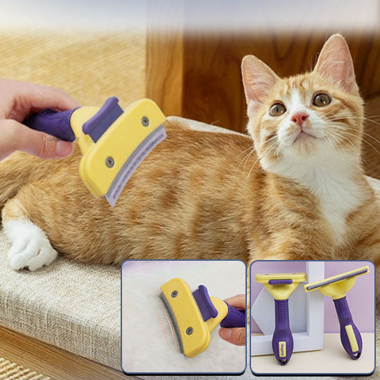 brosse-pour-chat-utilisée-sur-un-chat-détendu-pendant-le-toilettage