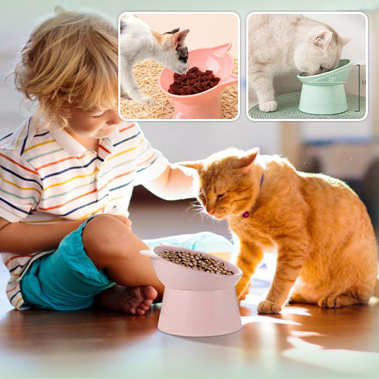 Gamelle_chat_surelevee_pour_le_bien_etre_de_votre_animal