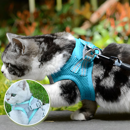 Harnais-pour-chat-bleu