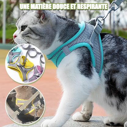 Harnais-pour-chat-adaptables