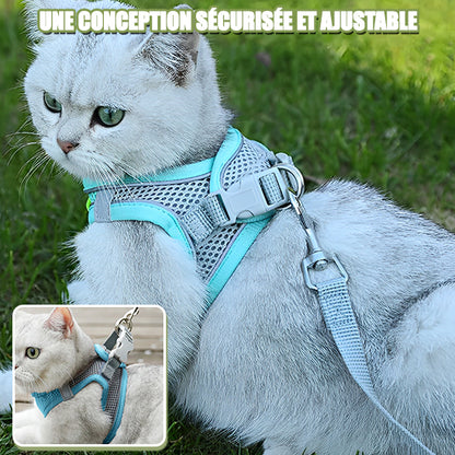 Harnais-pour-chat-durable