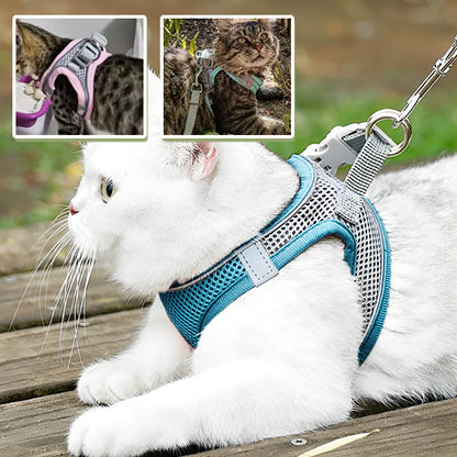 Harnais-pour-chat-securite-renforcee