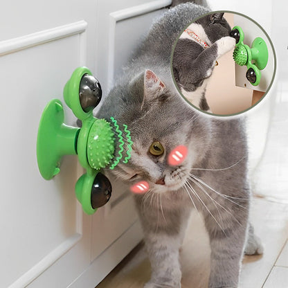 Jouet-Chat-vert