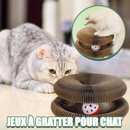Jouet-pour-chat-Royaume-Griffoir-offrant-un-excellent-affûtage-des-griffes