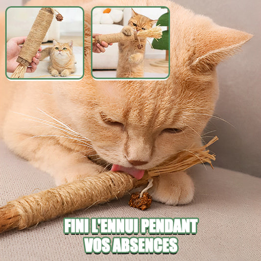 jouets-pour-chats-chat-jouant-avec-bâtonnet-à-mâcher-naturel