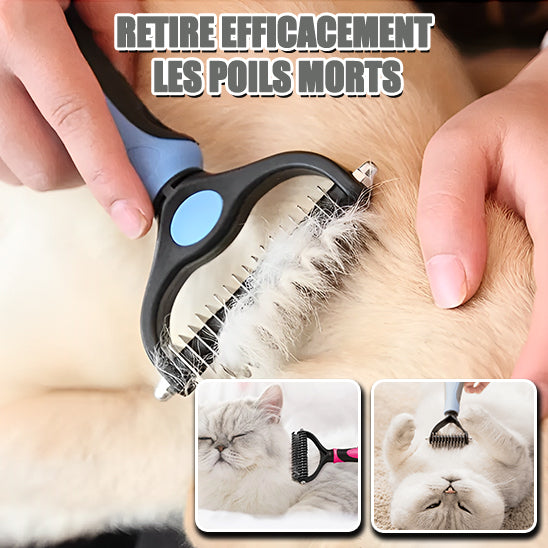 brosse-chat-en-acier-inoxydable-en-action