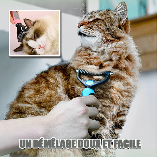 brosse-chat-démêlant-un-pelage-en-profondeur