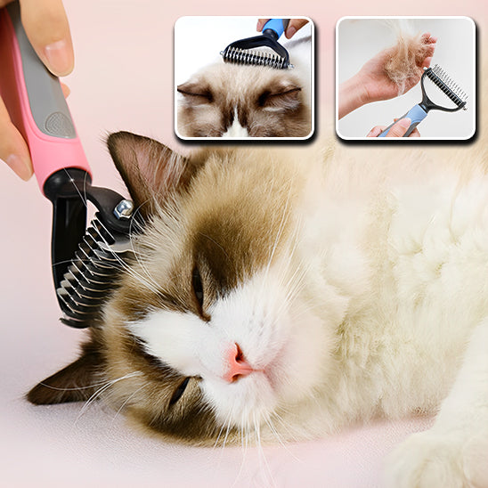 brosse-chat-lames-arrondies-pour-un-brossage-sécurisé