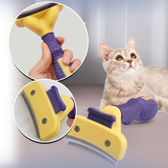 brosse-pour-chat-avec-un-chat-heureux-et-en-santé-après-le-toilettage