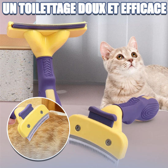 brosse-pour-chat-montrant-les-détails-des-poils-qui-démêlent-efficacement