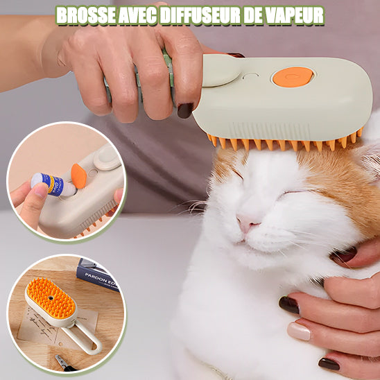 brosse-pour-chat-vapeur-pour-pelage-sain