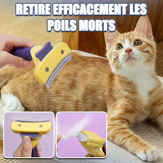 brosse-pour-chat-ne-toilletage-efficace