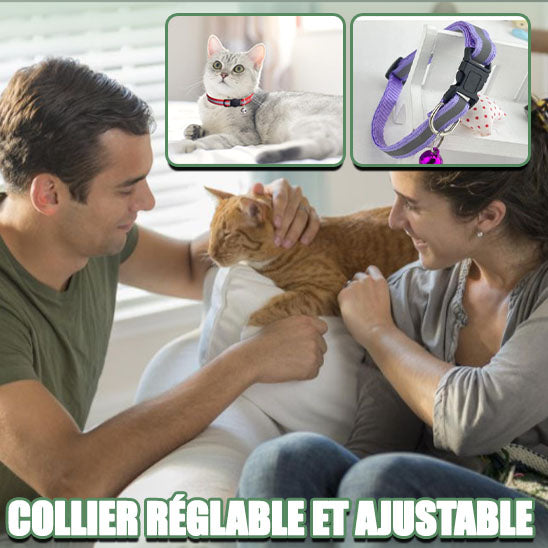 collier-pour-chat-confortable