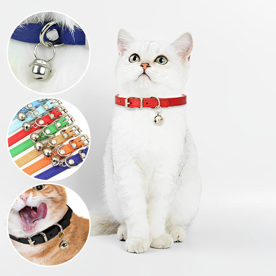 collier-pour-chat-couleur-mixte