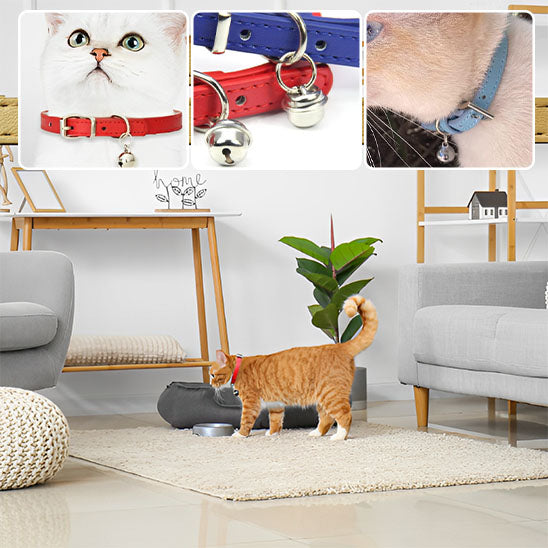 collier-pour-chat-pour-tous-les-gouts