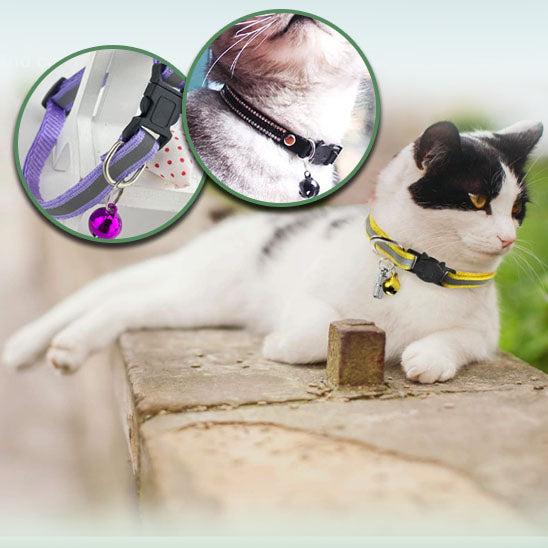 collier-pour-chat-propietaire-et-compagnon-heureux