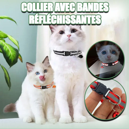 collier-pour-chat-ideal-pour-les-felins