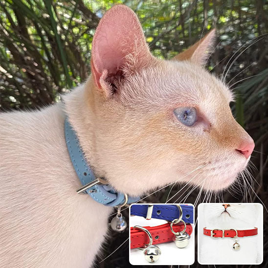 collier-pour-chat-securite