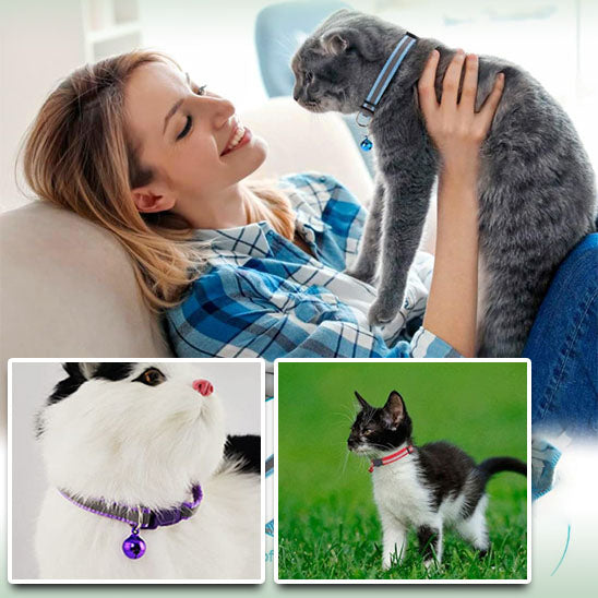 collier-pour-chat-securise