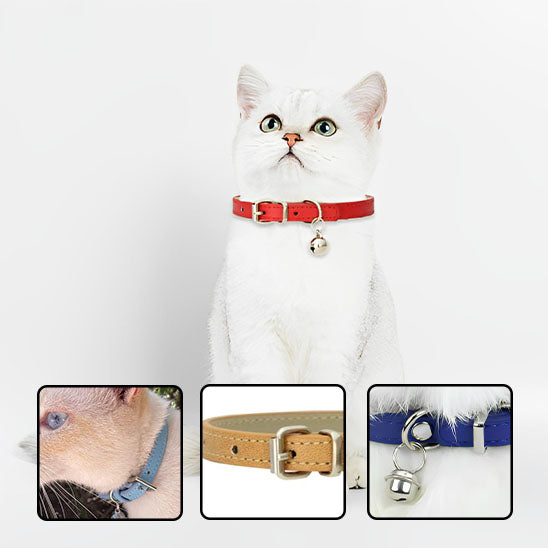 collier-pour-chat-indispensable-pour-tous-les-félins