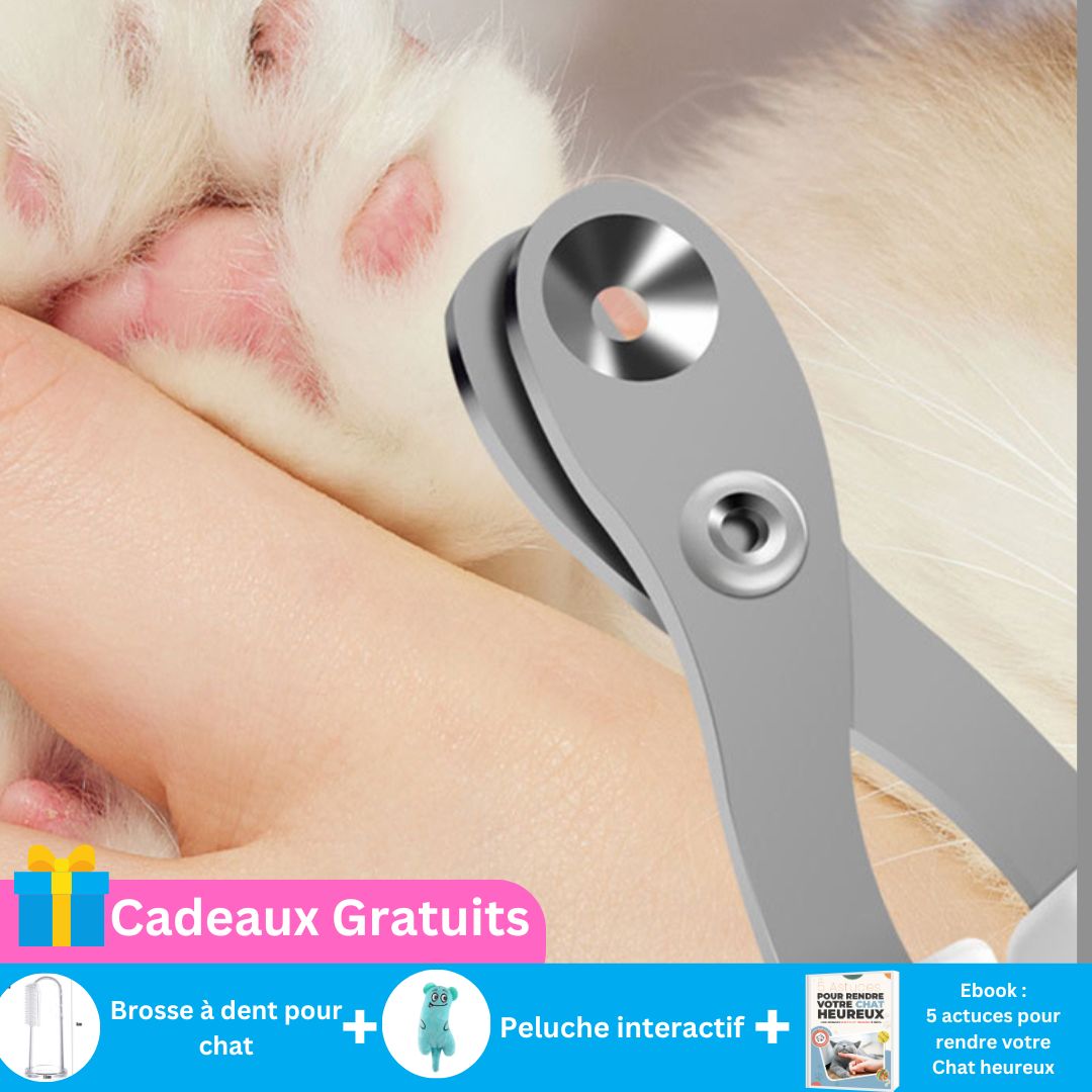 Coupe ongle pour chat | Royaume™ - Royaume Des Chats