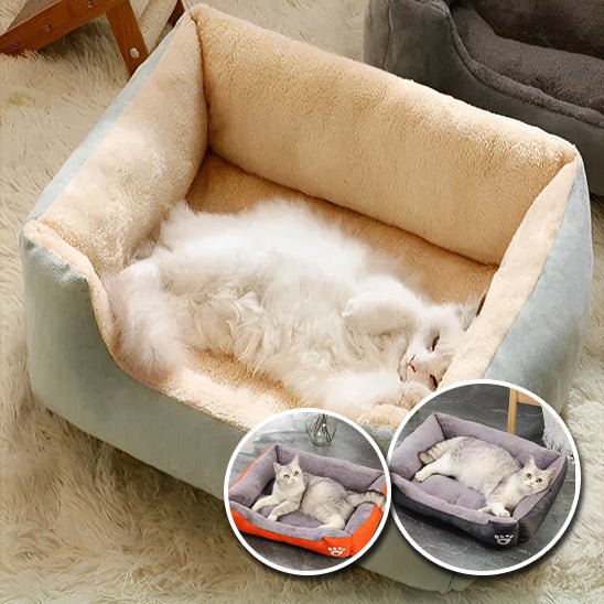 Coussin Chat | KingSoft™ - Royaume Des Chats