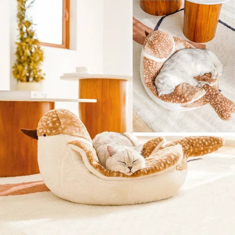 coussin-chat-idéal-pour-le-repos-et-le-jeu