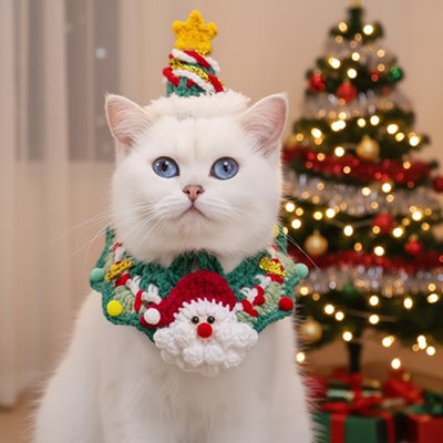 Déguisement pour chat joyeux noel