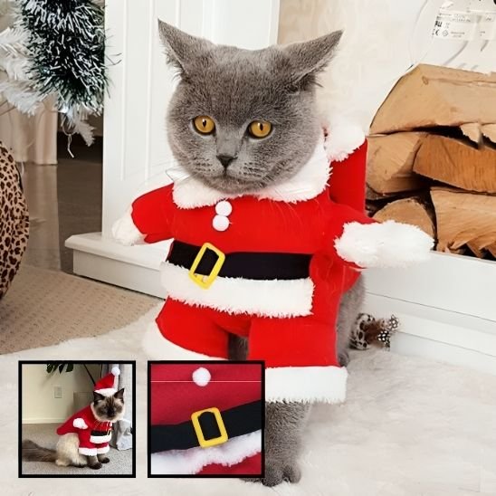 Déguisement pour chat deco