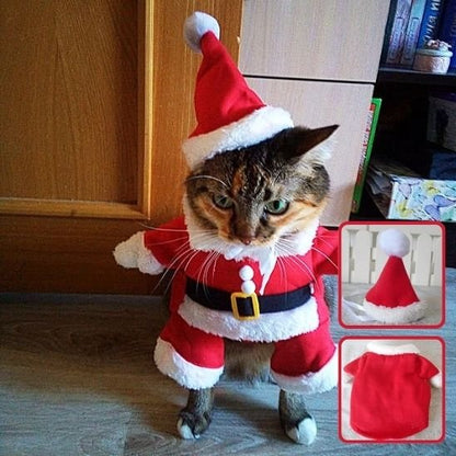 Déguisement pour chat complet