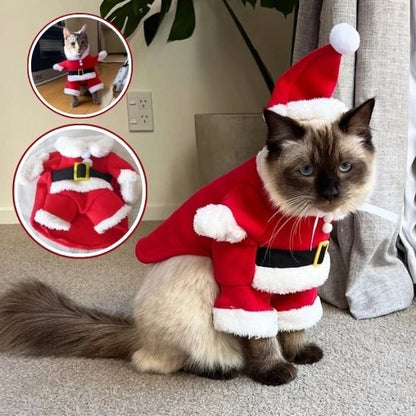 Déguisement pour chat un cadeau special