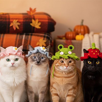 Déguisement pour chat chapeau