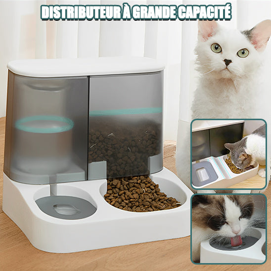 distributeur-croquettes-pour-chat-mangeoire-et-abreuvoir-combines