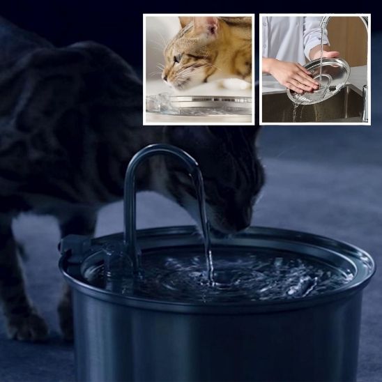 fontaine-a-eau-chat-avec-capteur-intelligent