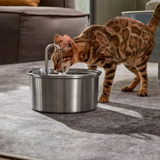 fontaine-a-eau-chat-en-utilisation-avec-un-chat