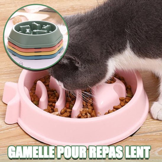 Gamelle Anti Glouton Chat | PurrPause™ - Royaume Des Chats