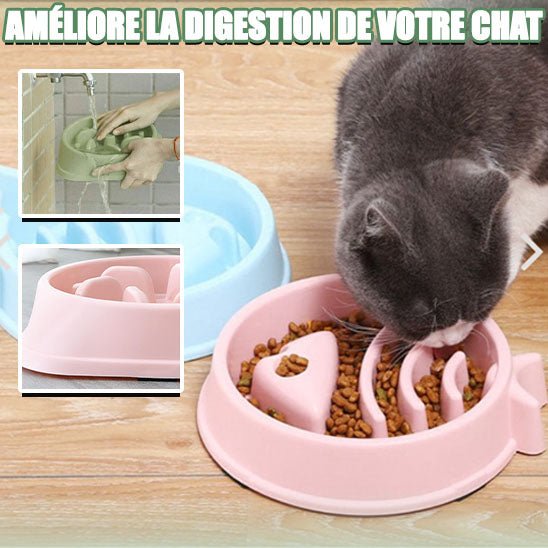 Gamelle Anti Glouton Chat | PurrPause™ - Royaume Des Chats