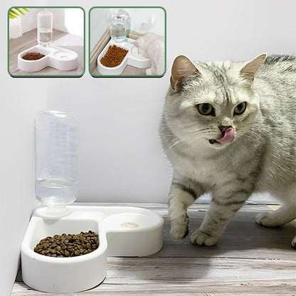 gamelle-chat-automatique-ergonomique