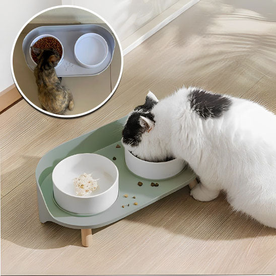 gamelle-chat-design-ergonomique