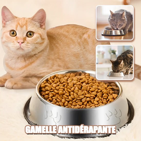 Gamelle Chat - Inox - Royaume Des Chats