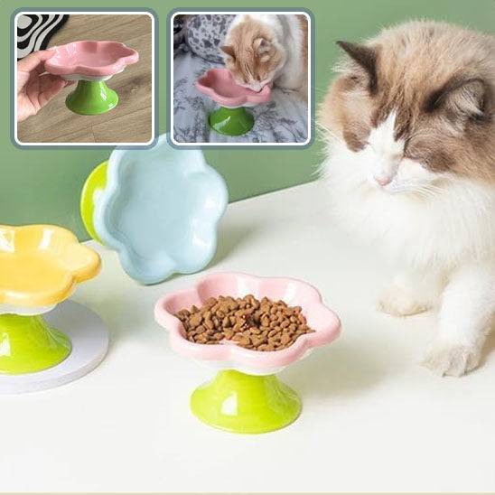 gamelle-chat-pour-alimentation-confortable